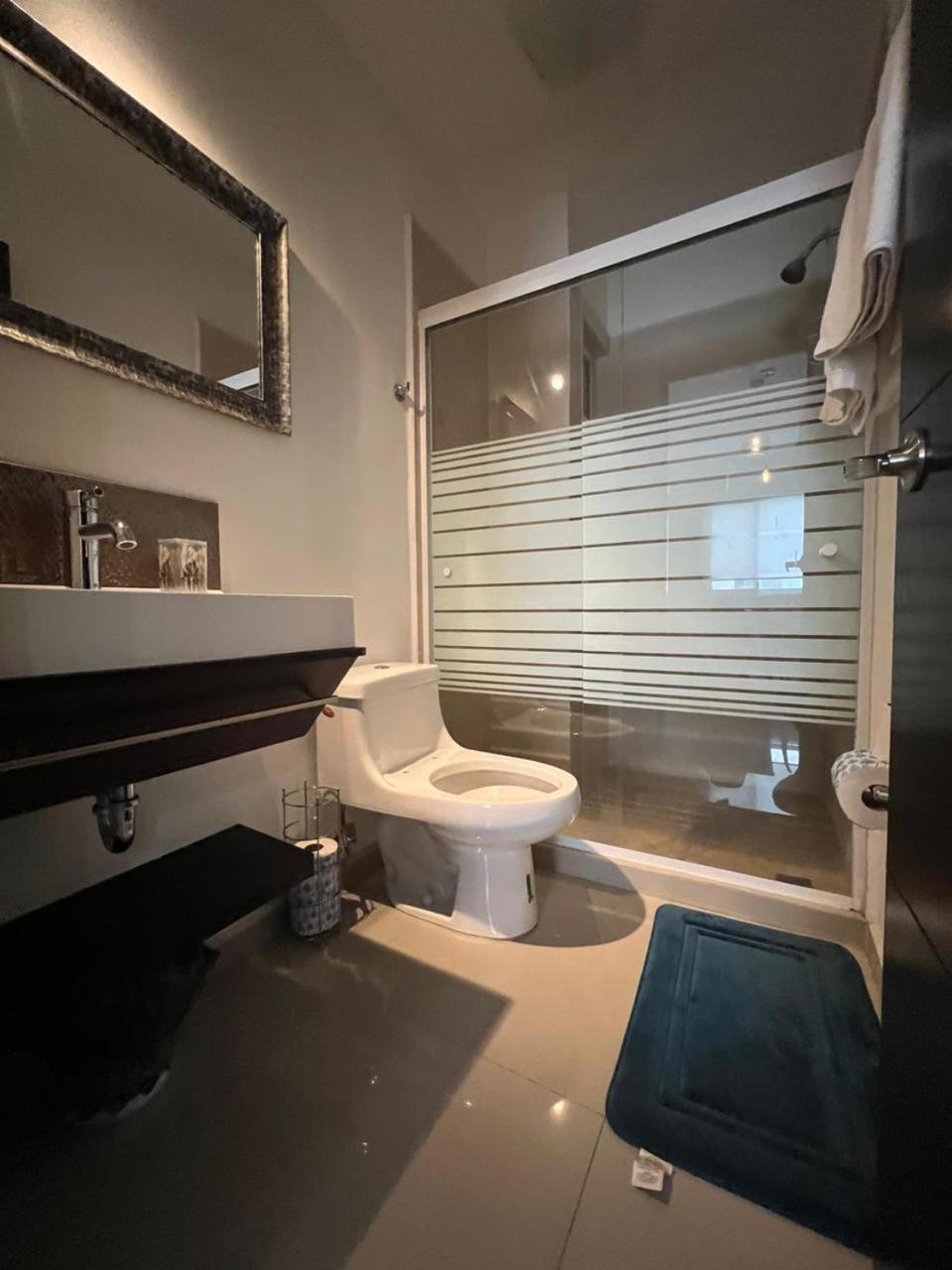 Apartamento Departamento Centro Monterrey